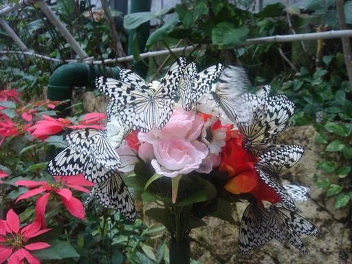 �������������[��