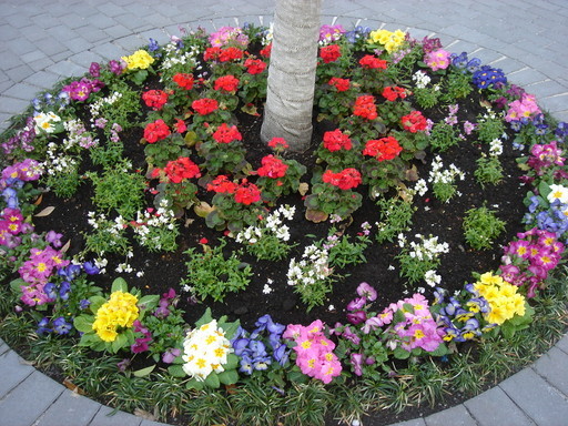 �������������[��