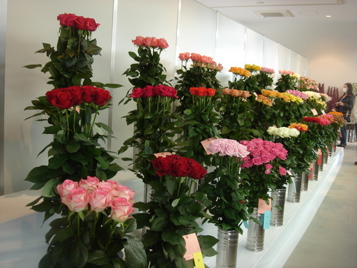 �������������[��