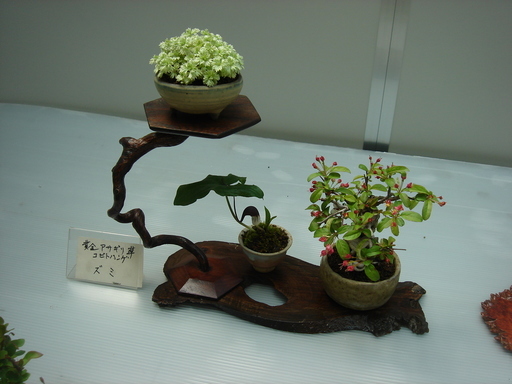 �������������[��