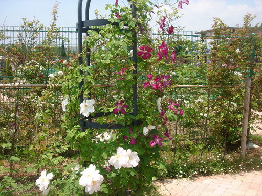 �������������[��