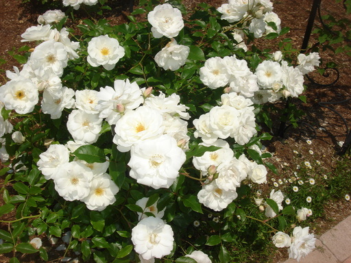 �������������[��