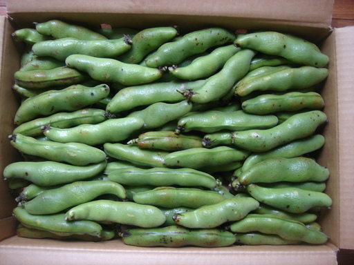 �������������[��