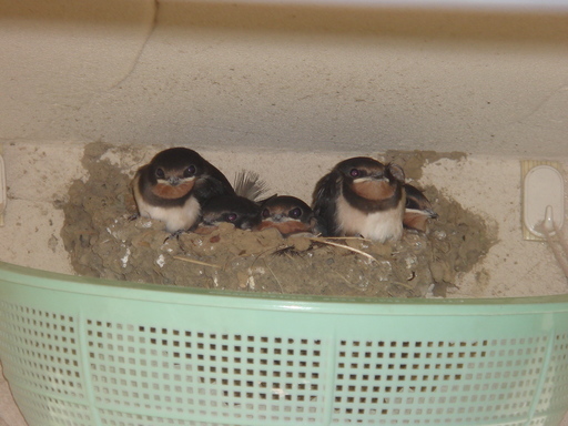 �������������[��