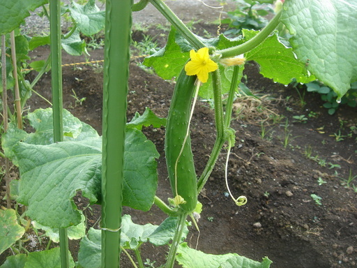 �������������[��