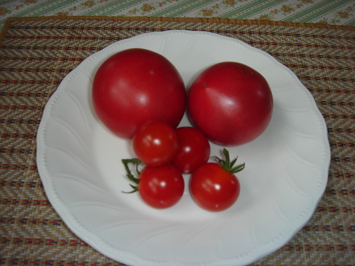 �������������[��