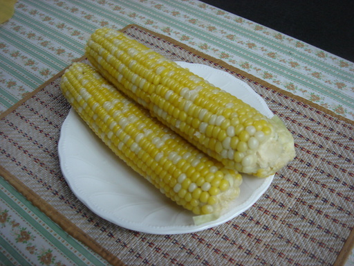 �������������[��