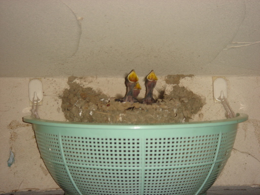 �������������[��