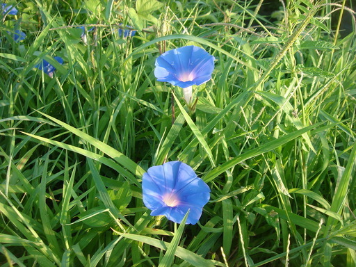 �������������[��