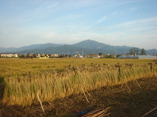 �������������[��