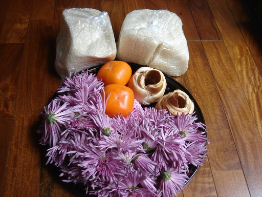 �������������[��