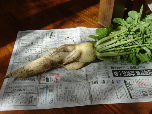 �������������[��