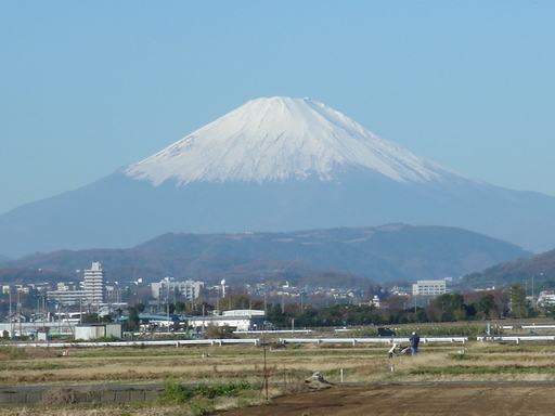 �������������[��