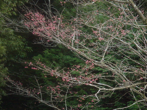 �������������[��