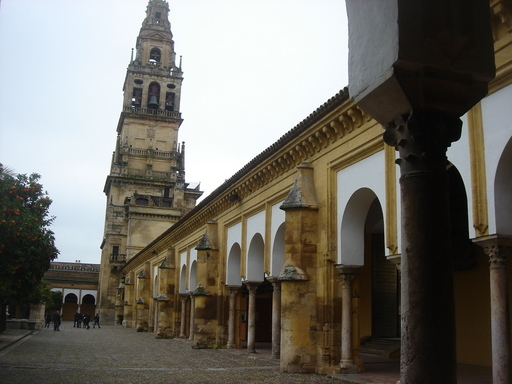 �������������[��