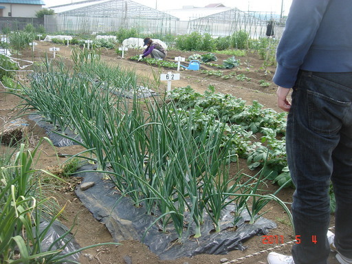 �������������[��