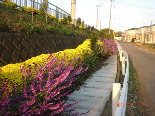 �������������[��