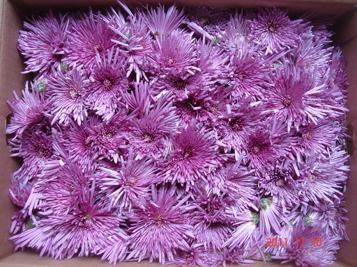 �������������[��