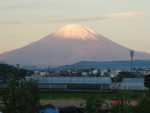 �������������[��