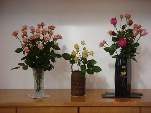 �������������[��