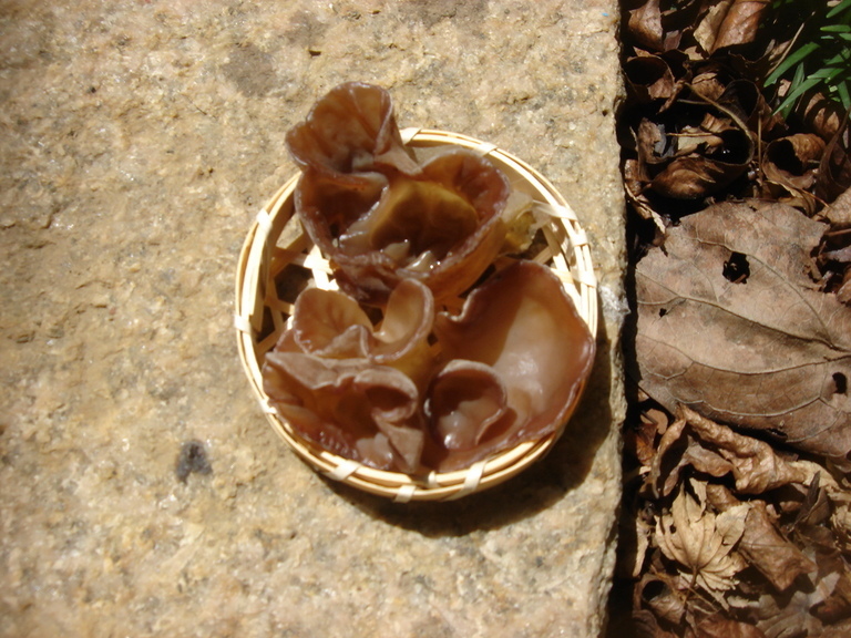 �������������[��