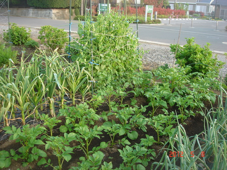 �������������[��