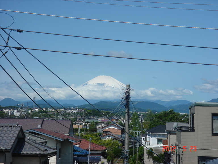 �������������[��