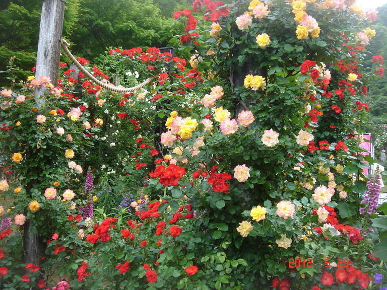 �������������[��