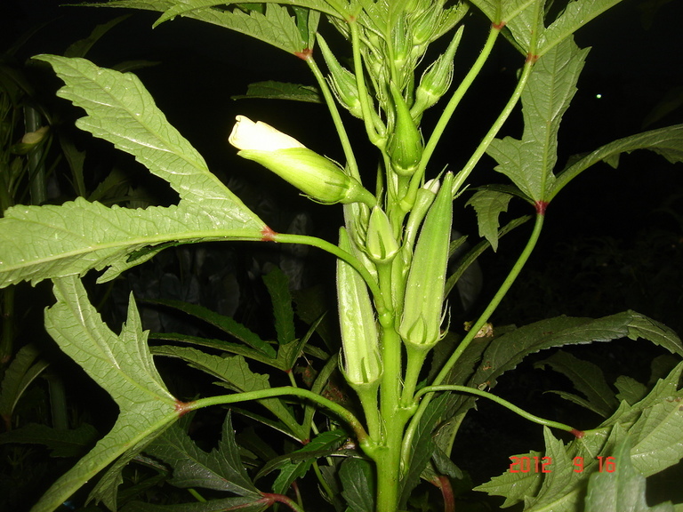 �������������[��