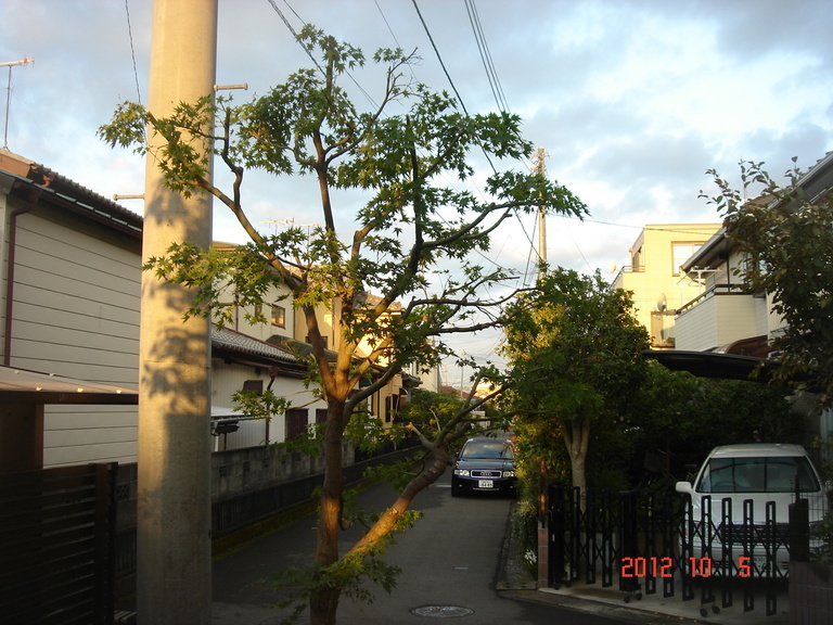 �������������[��