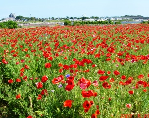 �������������[��