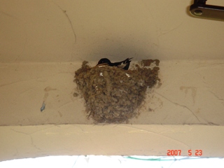 �������������[��