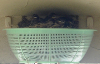 �������������[��