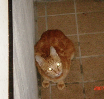 �������������[��