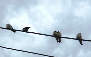 �������������[��