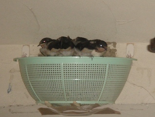 �������������[��