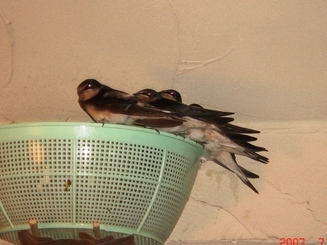 �������������[��