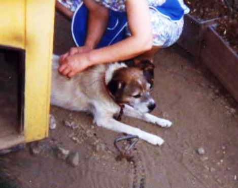 �������������[��