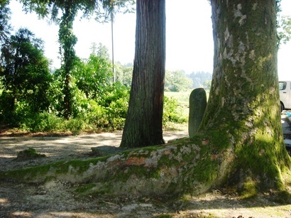 �������������[��