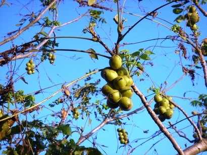 �������������[��