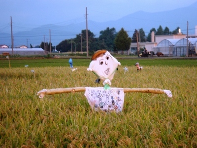 �������������[��