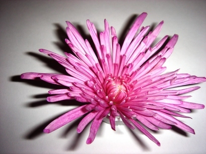 �������������[��