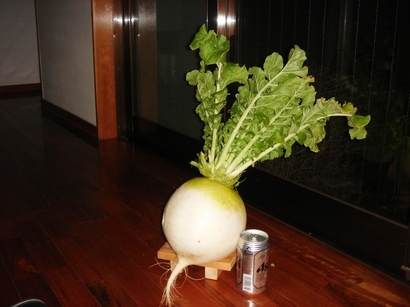 �������������[��