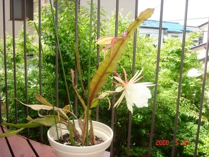 �������������[��