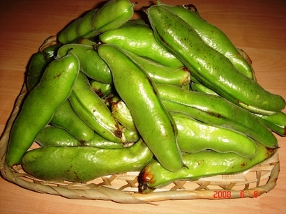 �������������[��