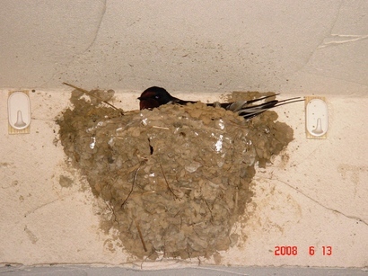 �������������[��