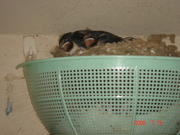 �������������[��