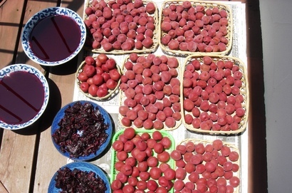 �������������[��