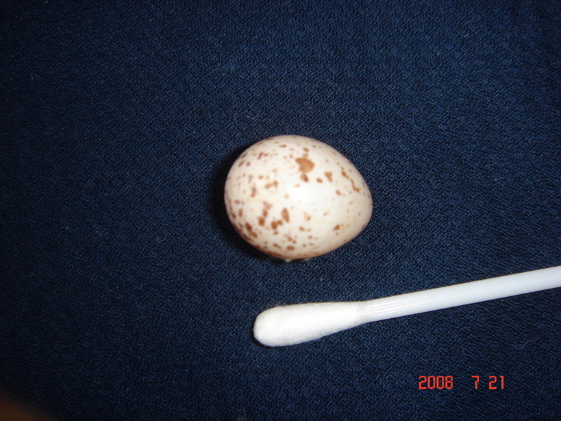 �������������[��