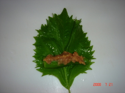 �������������[��